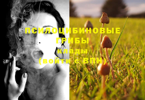 тгк Бугульма