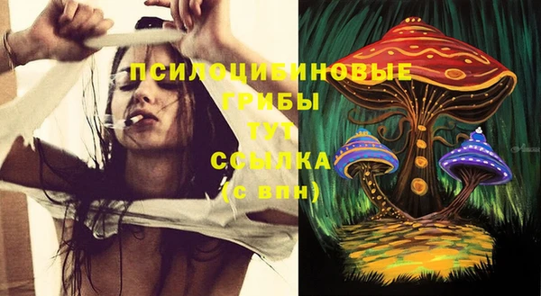 круглые Бронницы