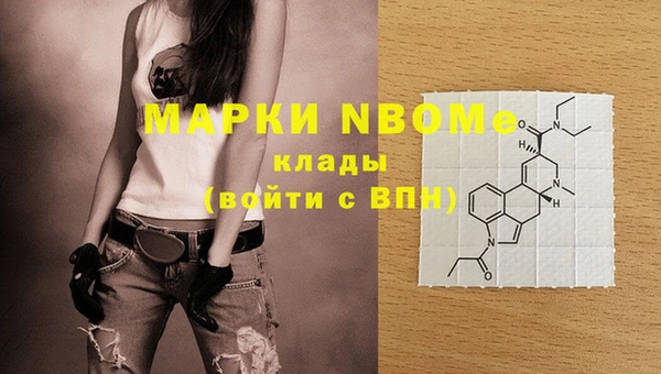 ешки Бородино