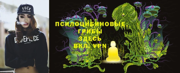 круглые Бронницы