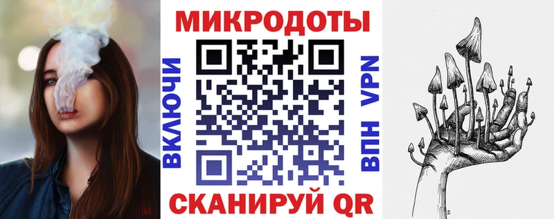 Псилоцибиновые грибы Cubensis  Яблоновский 