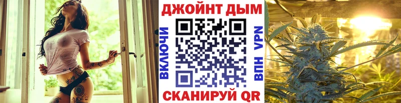 Конопля сатива  наркота  Яблоновский 